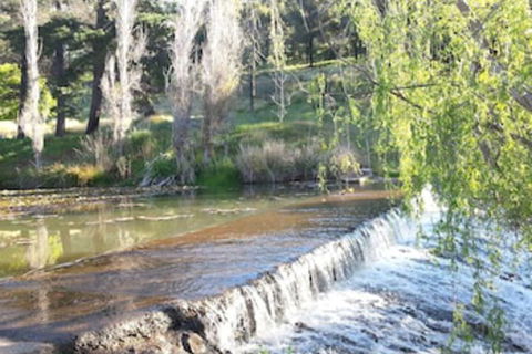 Avocados Accommodation - Stayed 0