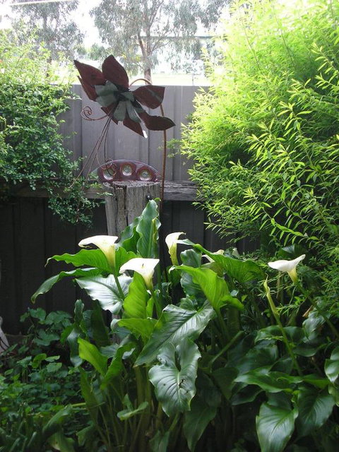 C & As Cottage - Stayed 2