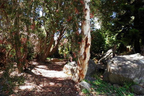 The Hideaway Luxury B & B Retreat - Stayed 6