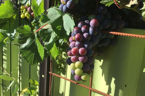 Bed & Breakfast In Perth - Stayed 2