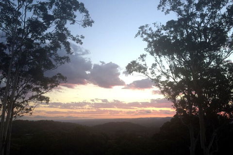 Phoenix Eumundi Bed & Breakfast - Stayed 1