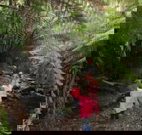 12 Apostles Cottages - Stayed