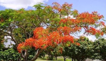 Chatsworth QLD Stays Accommodation