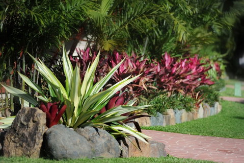 BIG4 Adventure Whitsunday Resort - Stays Accommodation 5