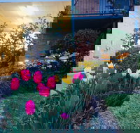 The Vines Motel and Cottages - Stayed