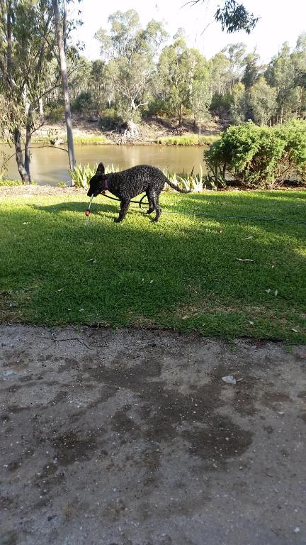 Captains Cottage Bed & Breakfast - Stays Accommodation 3