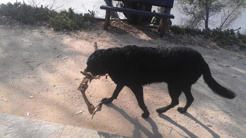 Captains Cottage Bed & Breakfast - Stays Accommodation 6