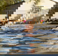 Riverside Cabin Park - Stayed