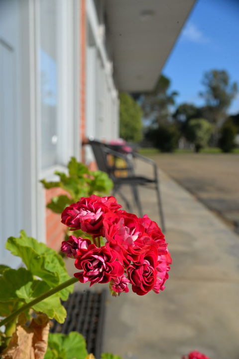 Ship Inn Motel - Stays Accommodation 1
