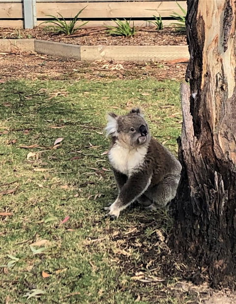 Ingenia Holidays Murray Bend - Stayed 2