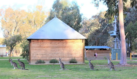 Ingenia Holidays Murray Bend - Stayed 1