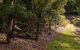 Whispering Valley Cottage Retreat - thumb 7