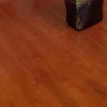 Bayswater North VIC Stayed