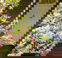 Apple Blossom Cottage - Stayed