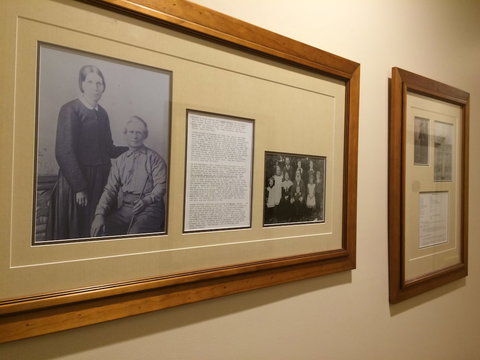 Eumundi Gridley Homestead B&B - Stayed 3