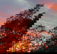 The York Heritage Hotel  Terraces - Stayed