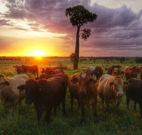 Myella Farm Stay - Stayed