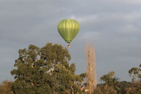 The Studio Yarra Valley - Stayed 5