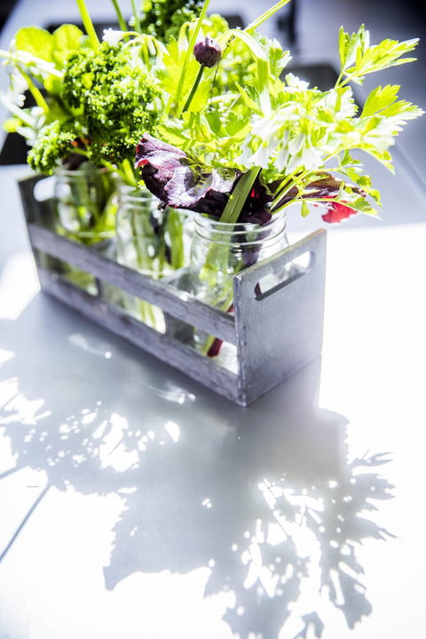 Alkina Lodge - Stayed 6