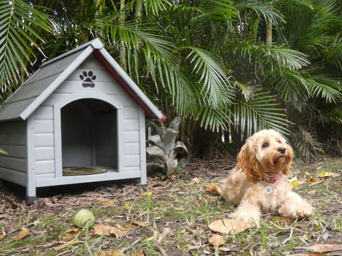 CHILL OUT BEACH HOUSE At FORSTER - Stays Accommodation 3