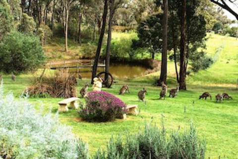 Countryside Connections Tranquil Studio - Stayed 0