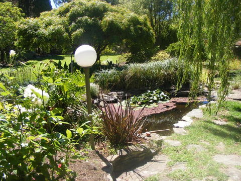 The Lookout - Stayed 2