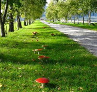 Plovers Ridge Country Retreat - Stayed