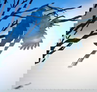 Tenterfield Cottage Holiday House - Stayed