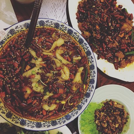 Dainty Sichuan - Stays Accommodation 0