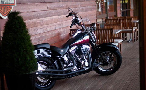 Harley Ironhorse Bar & Grill - Stays Accommodation 16