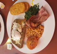 Cosmic Bear Cafe - Stayed