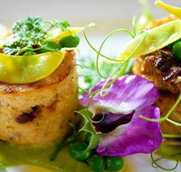 Fork to Fork - Stayed