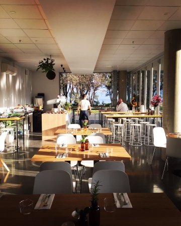 Monkey Business - Stayed 0