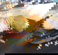 Gisborne Bakery  Cafe - Stayed