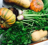 Shady Elm Cafe - Stayed