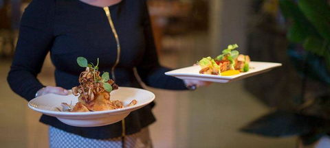 Cafe Amphora - Stays Accommodation 1