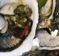 Espresso 351 - Stayed