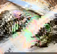 Frank and Connie's Kitchen - Stayed