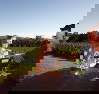 Gapsted Wines - Stayed