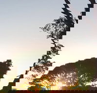 Mallacoota Golf  Country Club - Stayed