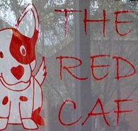 Red Dog Cafe - Stayed