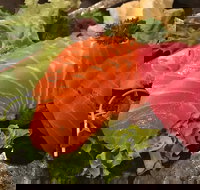 Sushi Dining Den - Stayed