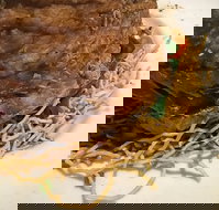 Lang Suan Thai Street Food - Stayed