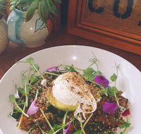 The Shak Organic Cafe  Wine Bar - Stayed