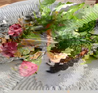 Corner Store Cafe - Stayed