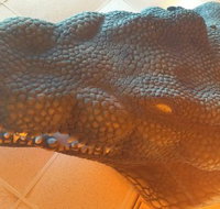 Outback Jack's Bar  Grill - Stayed