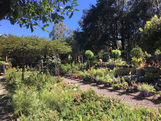 Yatte Yattah NSW Stayed