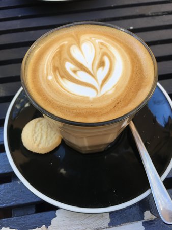 North Sydney NSW Stayed