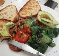 Gold Fish Bowl - Stayed