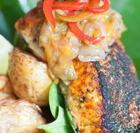 A Fish Shop Called Dory - Stayed